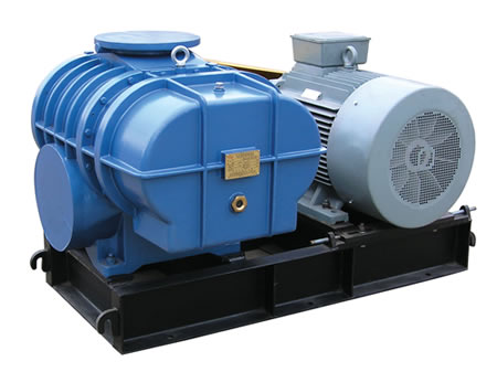 3L52WC、3L53WC型羅茨鼓風機