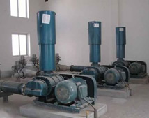 羅茨風(fēng)機(jī)客戶(hù)_滄州電廠項(xiàng)目